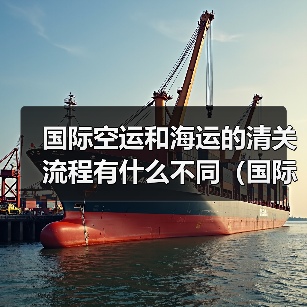 国际空运和海运的清关流程有什么不同(国际空运干货知识分享)(图4) 国际空运和海运的清关流程有什么不同(国际空运干货知识分享)(图4)