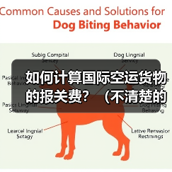 如何计算国际空运货物的报关费？（不清楚的跨境电商卖家看过来）（图1）