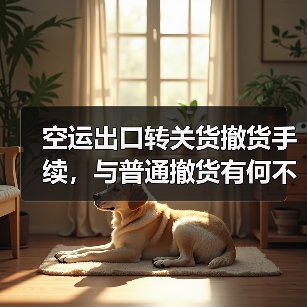 空运出口转关货撤货手续,与普通撤货有何不同?(图4) 空运出口转关货撤货手续,与普通撤货有何不同?(图4)