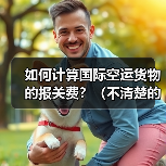 如何计算国际空运货物的报关费？（不清楚的跨境电商卖家看过来）（图4）