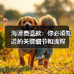 海运费退款：你必须知道的关键细节和流程（图1）