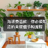 海运费退款：你必须知道的关键细节和流程（图4）