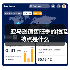 亚马逊销售旺季的物流特点是什么