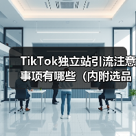 TikTok独立站引流注意事项有哪些（内附选品的四个重要维度）