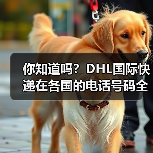 你知道吗?DHL国际快递在各国的电话号码全在这里(图1) 你知道吗?DHL国际快递在各国的电话号码全在这里(图1)