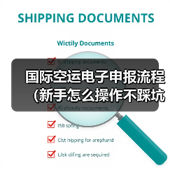 国际空运电子申报流程(新手怎么操作不踩坑)(图2) 国际空运电子申报流程(新手怎么操作不踩坑)(图2)