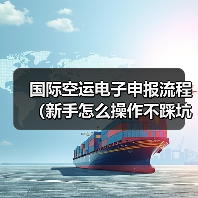 国际空运电子申报流程(新手怎么操作不踩坑)(图1) 国际空运电子申报流程(新手怎么操作不踩坑)(图1)