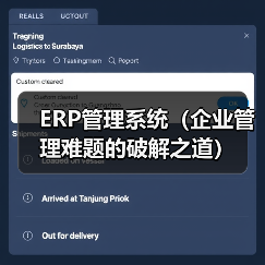 ERP管理系统（企业管理难题的破解之道）（图2）