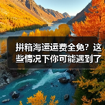 拼箱海运运费全免?这些情况下你可能遇到了(图3) 拼箱海运运费全免?这些情况下你可能遇到了(图3)