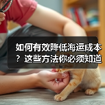 如何有效降低海运成本?这些方法你必须知道(图1) 如何有效降低海运成本?这些方法你必须知道(图1)