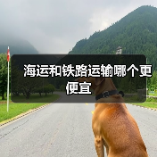 海运和铁路运输哪个更便宜（图2）