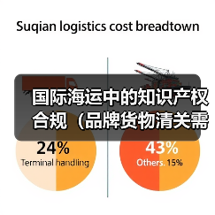 国际海运中的知识产权合规(品牌货物清关需要注意什么)(图3) 国际海运中的知识产权合规(品牌货物清关需要注意什么)(图3)