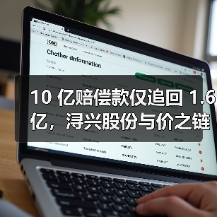 10 亿赔偿款仅追回 1.6 亿,浔兴股份与价之链的纠葛(图4) 10 亿赔偿款仅追回 1.6 亿,浔兴股份与价之链的纠葛(图4)