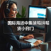 国际海运中集装箱拼箱货小窍门（图3）