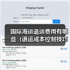 国际海运退运费用有哪些（退运成本控制技巧）（图2）