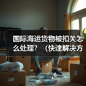 国际海运货物被扣关怎么处理?(快速解决方法)(图4) 国际海运货物被扣关怎么处理?(快速解决方法)(图4)