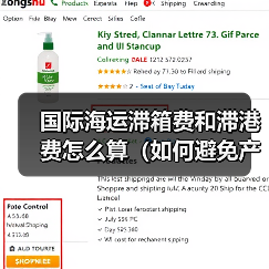 国际海运滞箱费和滞港费怎么算（如何避免产生）（图3）