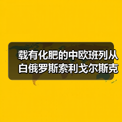 载有化肥的中欧班列从白俄罗斯索利戈尔斯克驶往武汉