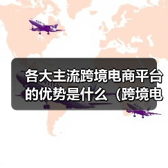 各大主流跨境电商平台的优势是什么（跨境电商小白卖家如何选择平台）（图1）