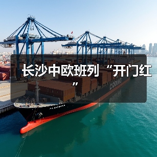长沙中欧班列“开门红”(图3) 长沙中欧班列“开门红”(图3)