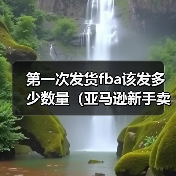 第一次发货fba该发多少数量(亚马逊新手卖家看过来)(图3) 第一次发货fba该发多少数量(亚马逊新手卖家看过来)(图3)