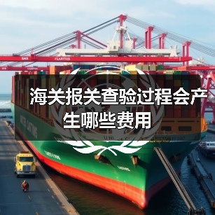 海关报关查验过程会产生哪些费用（图4）