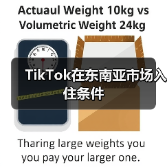 TikTok在东南亚市场入住条件(图3) TikTok在东南亚市场入住条件(图3)