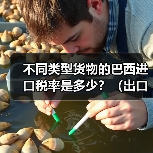 不同类型货物的巴西进口税率是多少？（出口巴西的跨境电商卖家请注意）