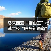 马来西亚“猫山王”榴莲**经“陆海新通道”抵渝