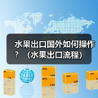 水果出口国外如何操作?(水果出口流程)(图4) 水果出口国外如何操作?(水果出口流程)(图4)