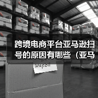 跨境电商平台亚马逊扫号的原因有哪些(亚马逊卖家请注意)(图4) 跨境电商平台亚马逊扫号的原因有哪些(亚马逊卖家请注意)(图4)