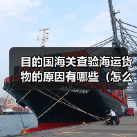 目的国海关查验海运货物的原因有哪些(怎么配合处理)(图4) 目的国海关查验海运货物的原因有哪些(怎么配合处理)(图4)