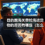 目的国海关查验海运货物的原因有哪些(怎么配合处理)(图1) 目的国海关查验海运货物的原因有哪些(怎么配合处理)(图1)