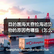 目的国海关查验海运货物的原因有哪些(怎么配合处理)(图2) 目的国海关查验海运货物的原因有哪些(怎么配合处理)(图2)