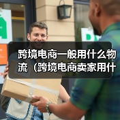 跨境电商一般用什么物流(跨境电商卖家用什么物流方式发货)(图4) 跨境电商一般用什么物流(跨境电商卖家用什么物流方式发货)(图4)