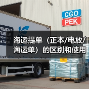 海运提单(正本/电放/海运单)的区别和使用场景(国际海运干货知识分享)(图2) 海运提单(正本/电放/海运单)的区别和使用场景(国际海运干货知识分享)(图2)