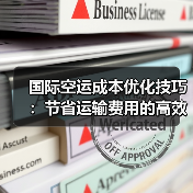 国际空运成本优化技巧：节省运输费用的高效策略（图3）