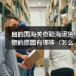 目的国海关查验海运货物的原因有哪些(怎么配合处理)(图4) 目的国海关查验海运货物的原因有哪些(怎么配合处理)(图4)