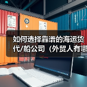 如何选择靠谱的海运货代/船公司(外贸人有哪些筛选标准)(图4) 如何选择靠谱的海运货代/船公司(外贸人有哪些筛选标准)(图4)