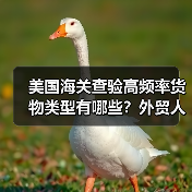美国海关查验高频率货物类型有哪些?外贸人必看(图1) 美国海关查验高频率货物类型有哪些?外贸人必看(图1)
