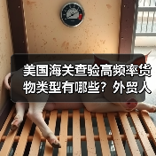 美国海关查验高频率货物类型有哪些?外贸人必看(图3) 美国海关查验高频率货物类型有哪些?外贸人必看(图3)