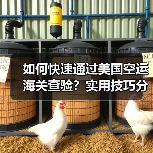 如何快速通过美国空运海关查验？实用技巧分享（图2）