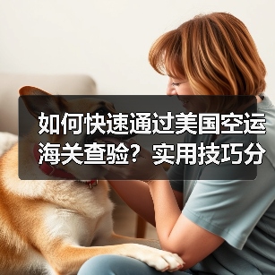 如何快速通过美国空运海关查验？实用技巧分享（图1）