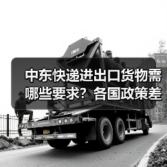 中东快递进出口货物需哪些要求?各国政策差异全解析(图3) 中东快递进出口货物需哪些要求?各国政策差异全解析(图3)
