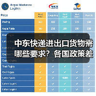 中东快递进出口货物需哪些要求?各国政策差异全解析(图4) 中东快递进出口货物需哪些要求?各国政策差异全解析(图4)