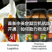 首条中英定期货机航线开通，如何助力物流升级？（图2）