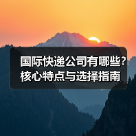 国际快递公司有哪些?核心特点与选择指南(图4) 国际快递公司有哪些?核心特点与选择指南(图4)
