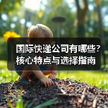 国际快递公司有哪些?核心特点与选择指南(图1) 国际快递公司有哪些?核心特点与选择指南(图1)