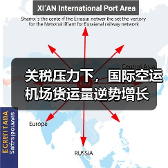 关税压力下,国际空运机场货运量逆势增长(图3) 关税压力下,国际空运机场货运量逆势增长(图3)
