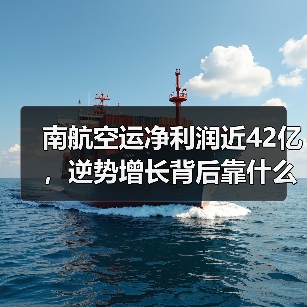 南航空运净利润近42亿,逆势增长背后靠什么?(图2) 南航空运净利润近42亿,逆势增长背后靠什么?(图2)